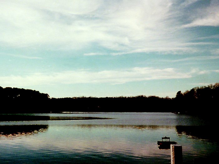 Evening at Swan Lake
