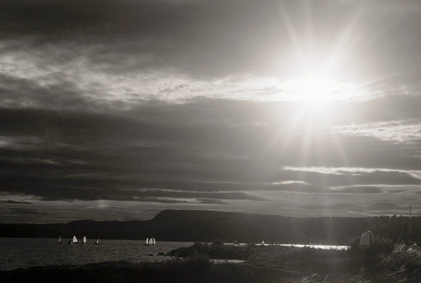 Evening Regatta