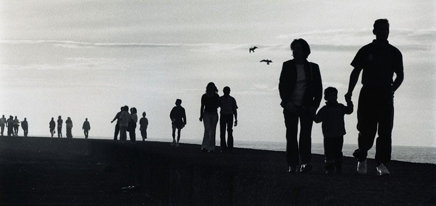 Evening Stroll