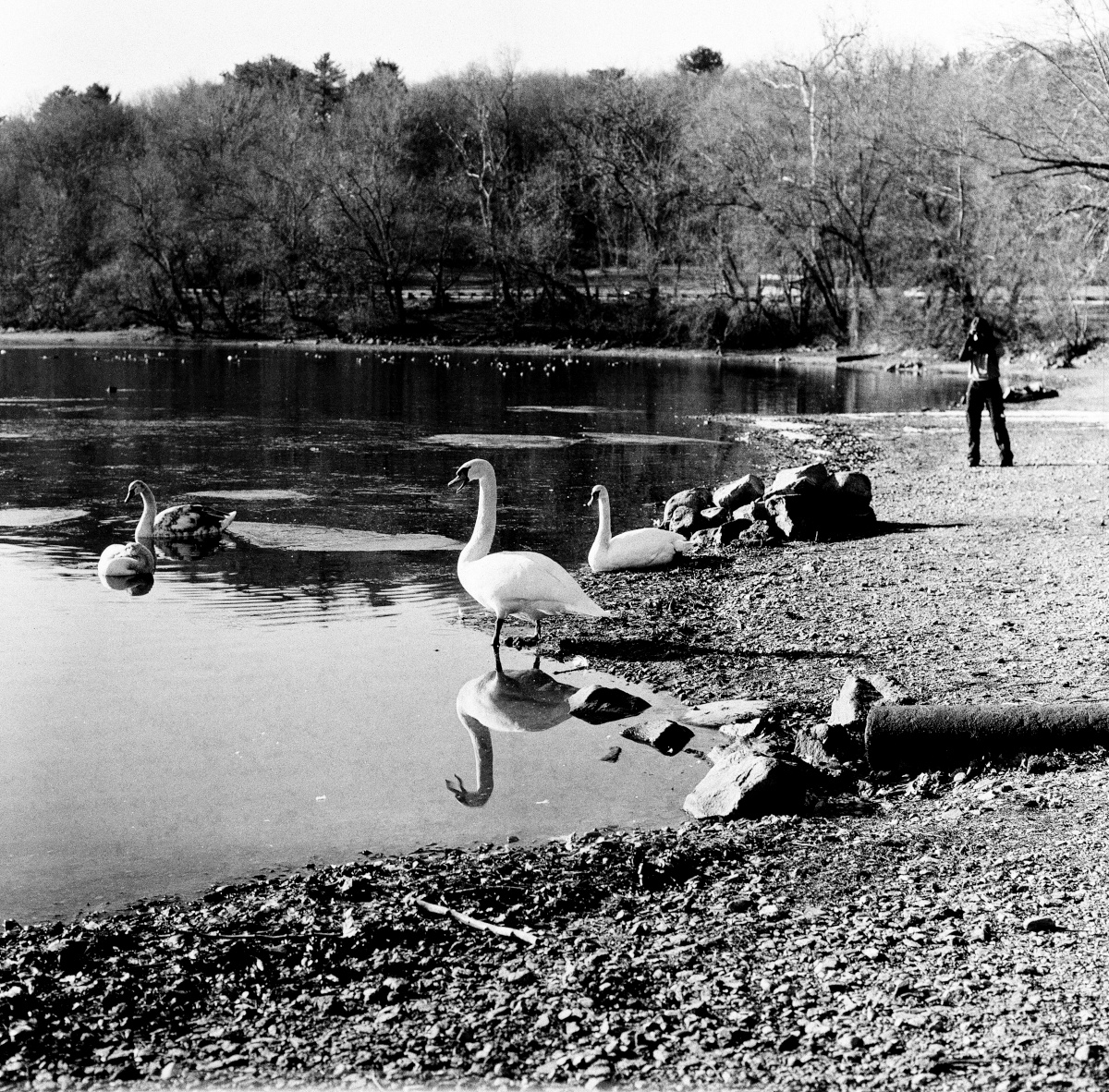 Ever get the sense you're being watched?