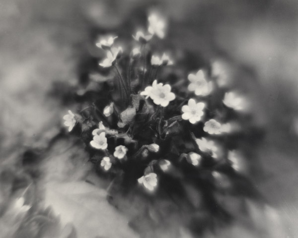 Experiment With a Simple Lens
