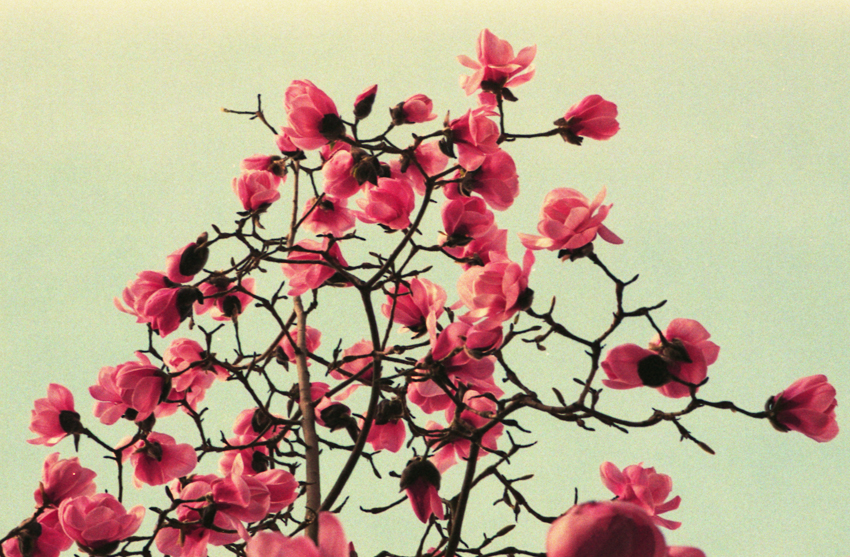 Expired Color negative and positve film
