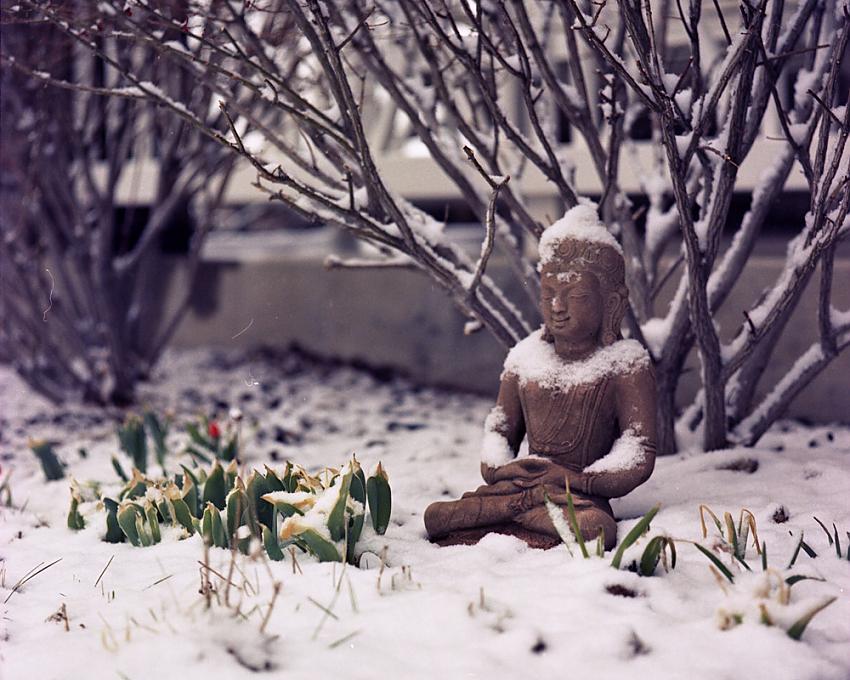 Expired Portra around the neighborhood.