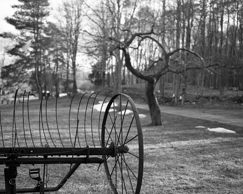 Expired Tri-X visits private farm property near a pond in Ashford, CT