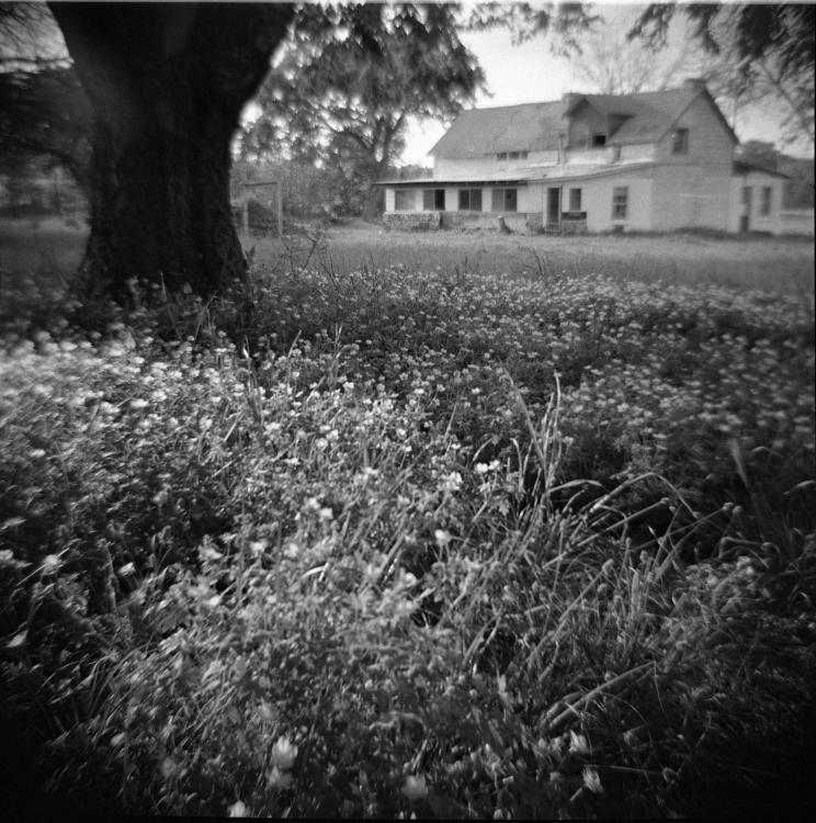 Exploring With Diana F+ And Rodinal