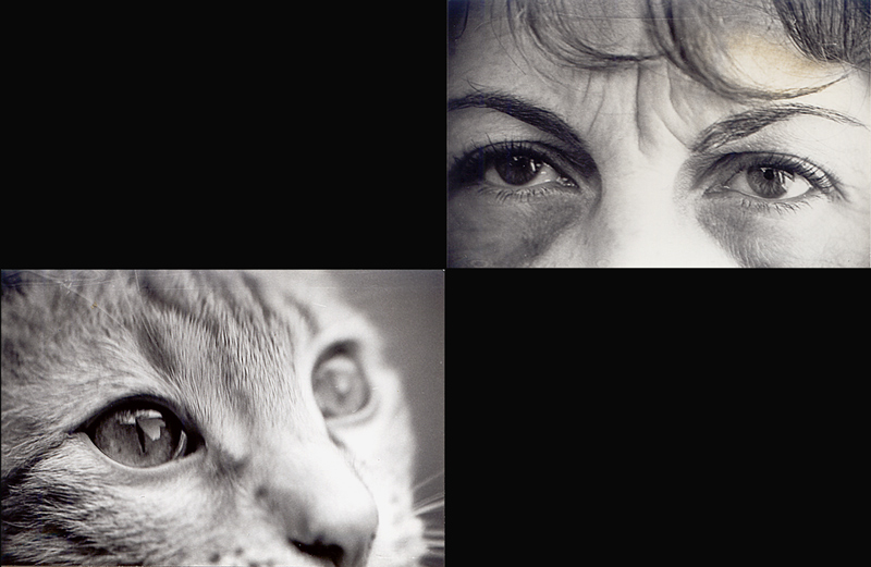 Eyes.