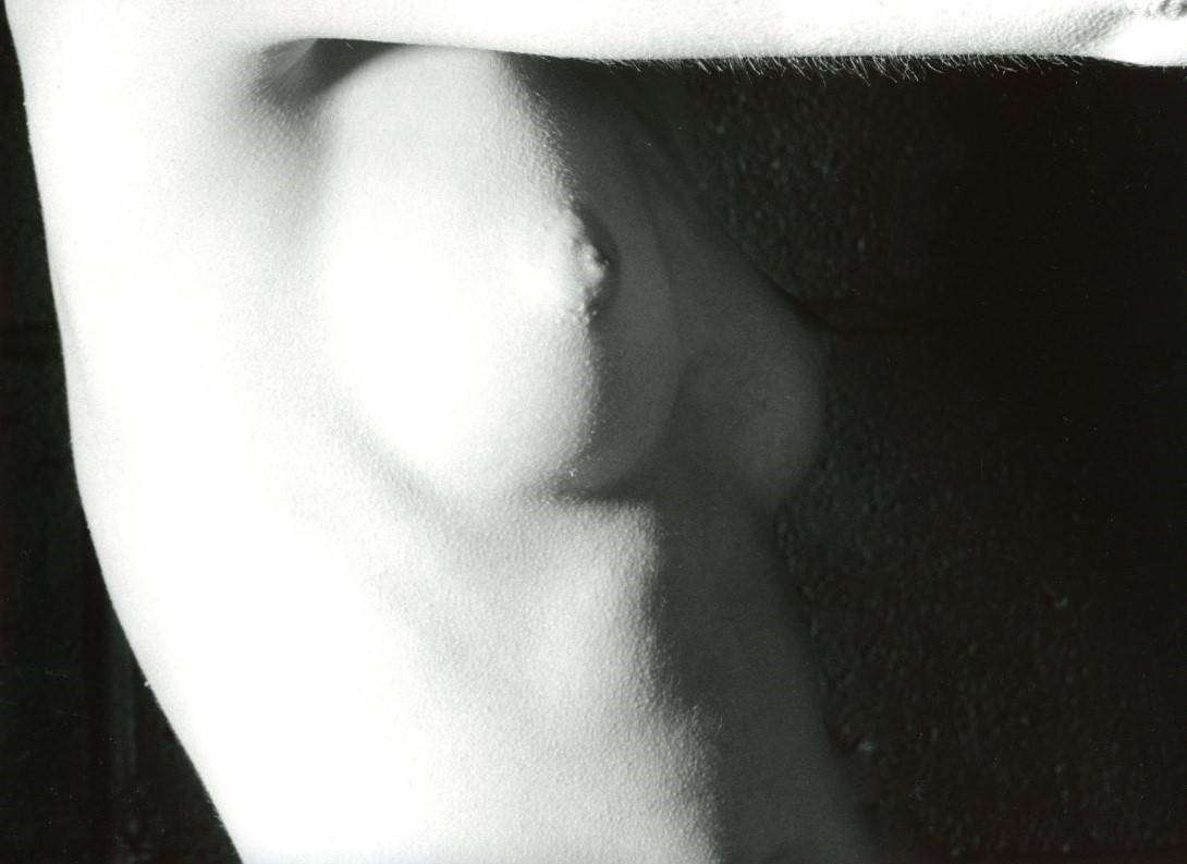 Fa001.jpg