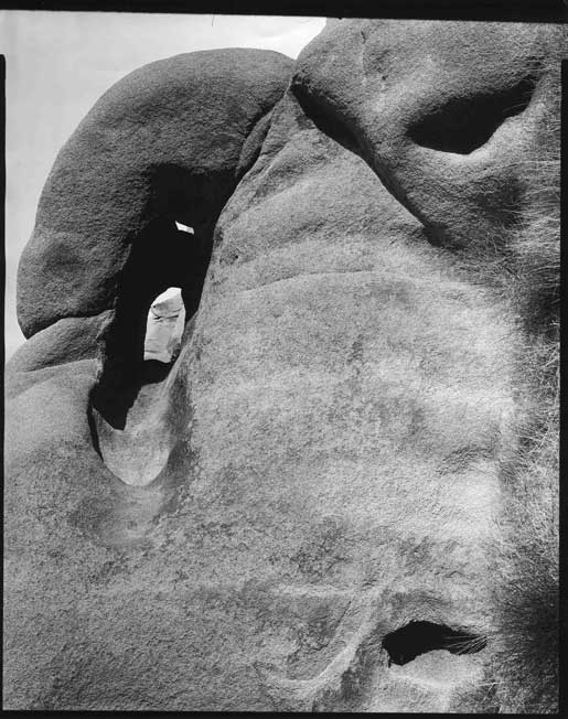 Faces at Joshua Tree