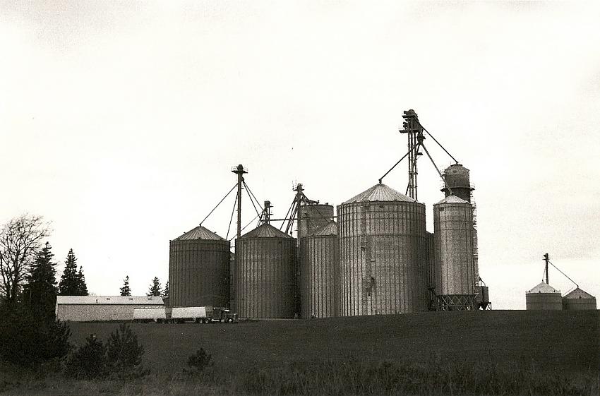 Factory farm