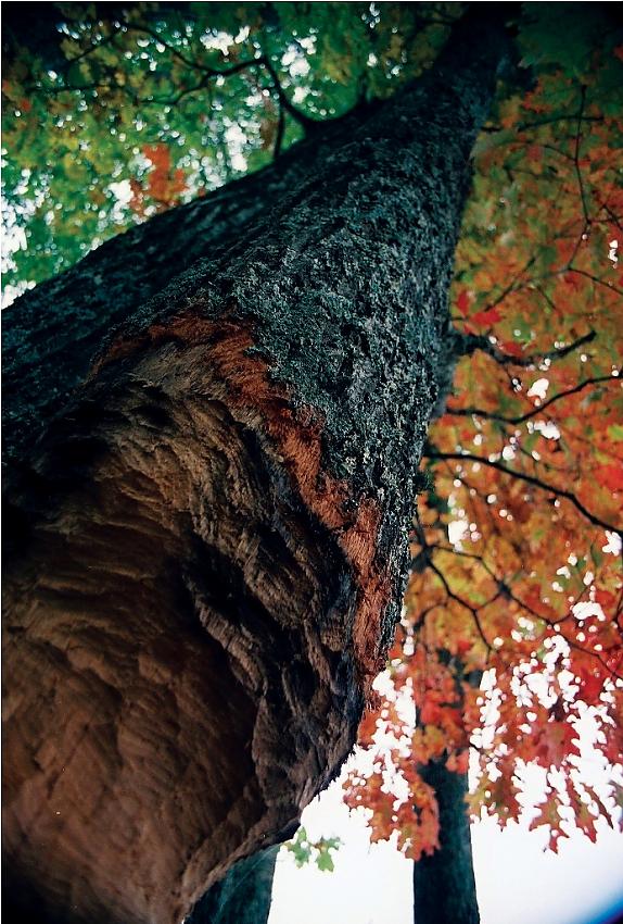 Fall 2012 - N80 test #4
