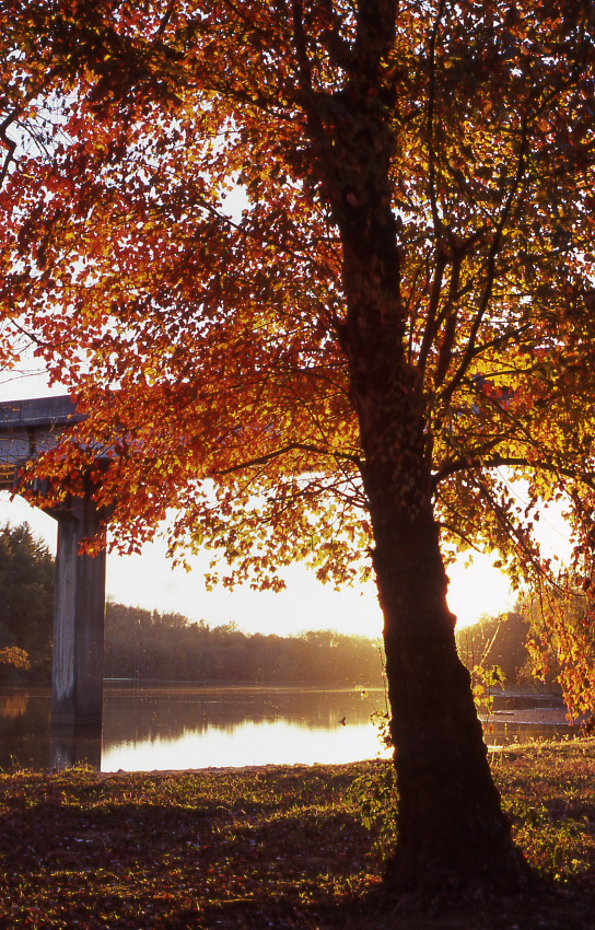 Fall Afternoon At Huffman Bridge