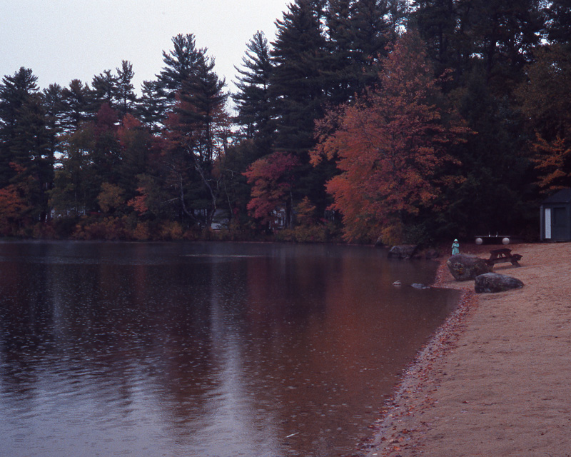 fall at potanipo - beach