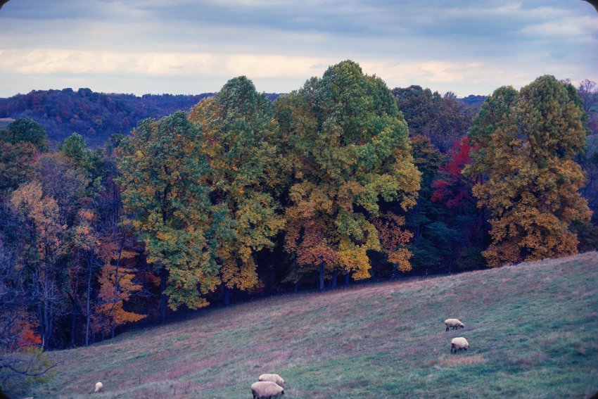 Fall Country