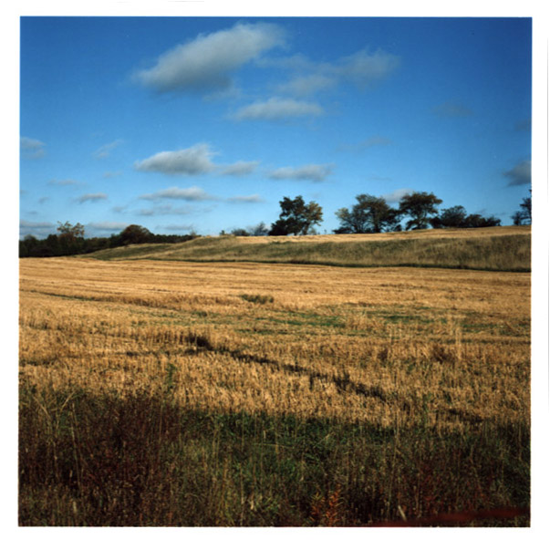 Fall Field