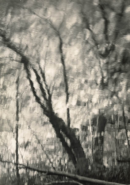 Fall Impressions, Eagle Creek