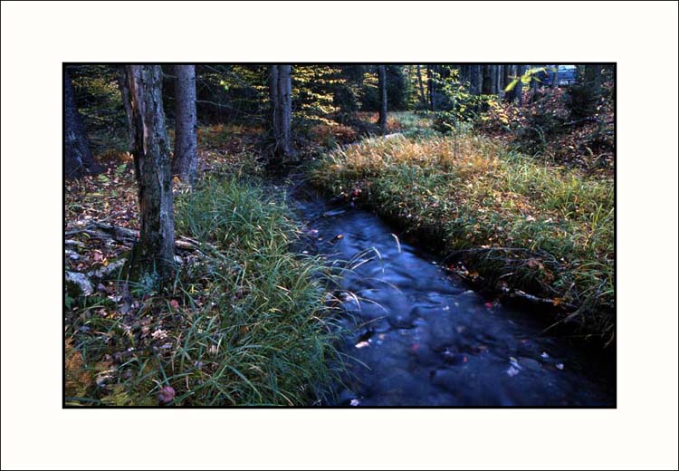 Fall on Kodachrome 25 #1