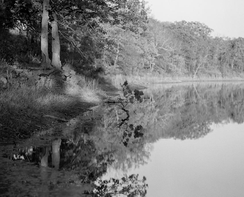 Fall Reflections1-400014