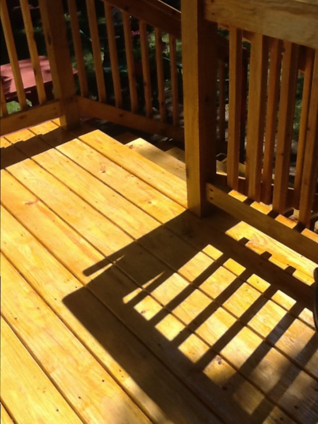 Fall Shadows