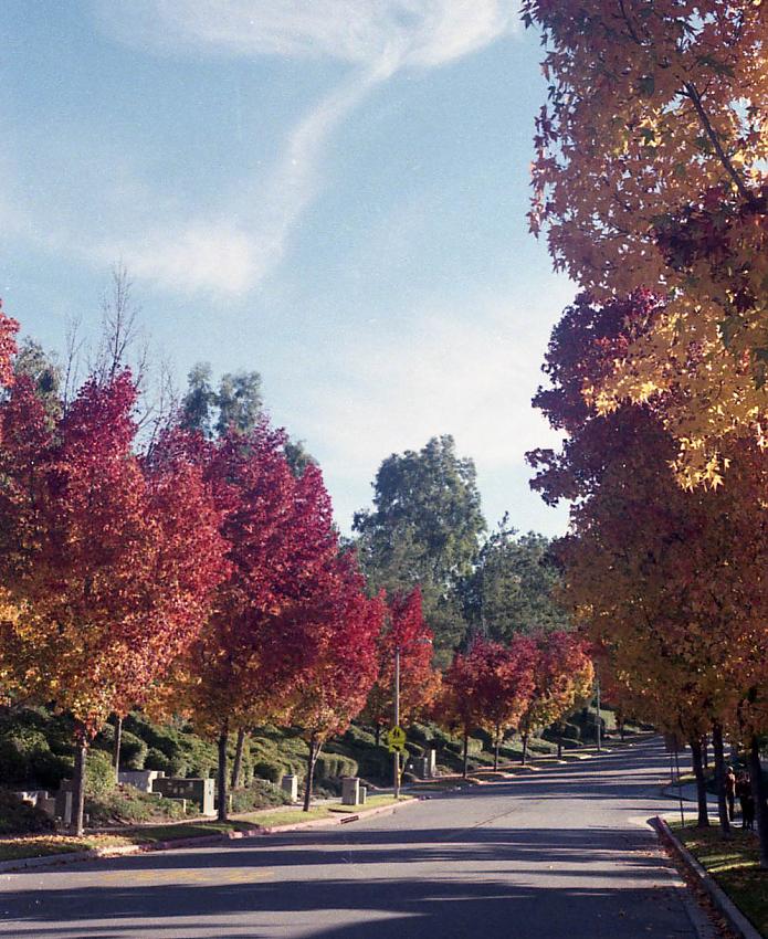 Fall Street
