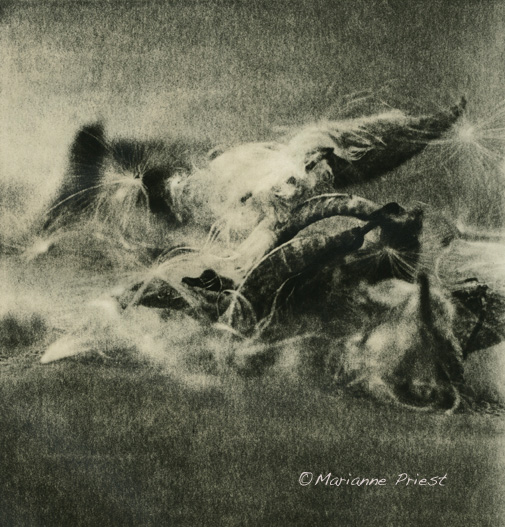 fallen angels