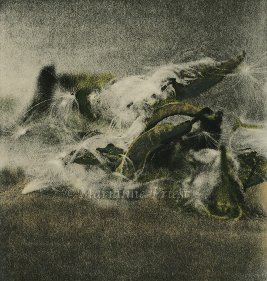 fallen angels_ hc