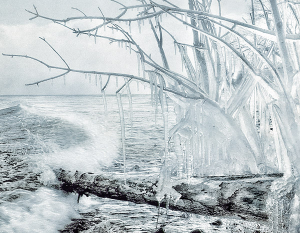 fallen iced trunk