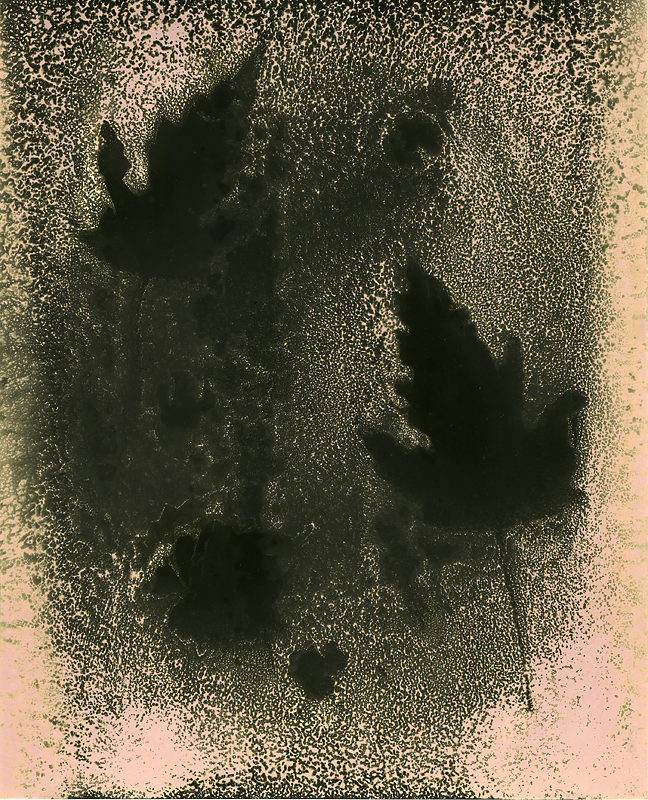 Falling Leaves #2