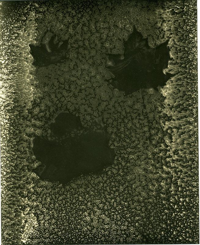 Falling Leaves #3