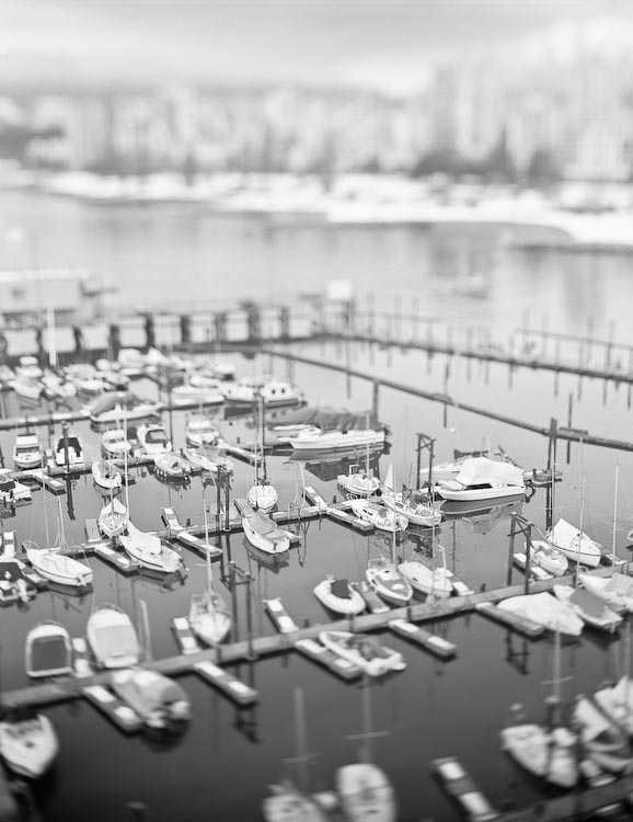 False Creek 1