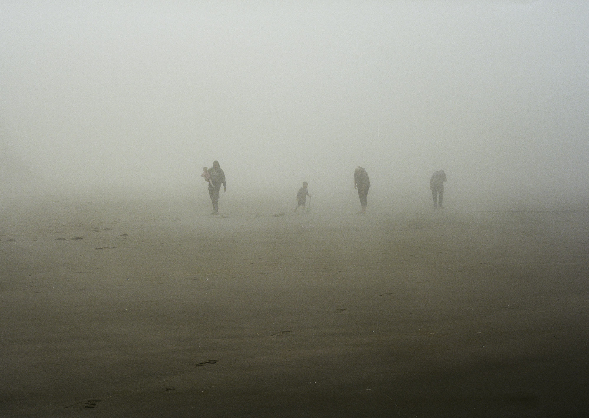 Family In The Fog