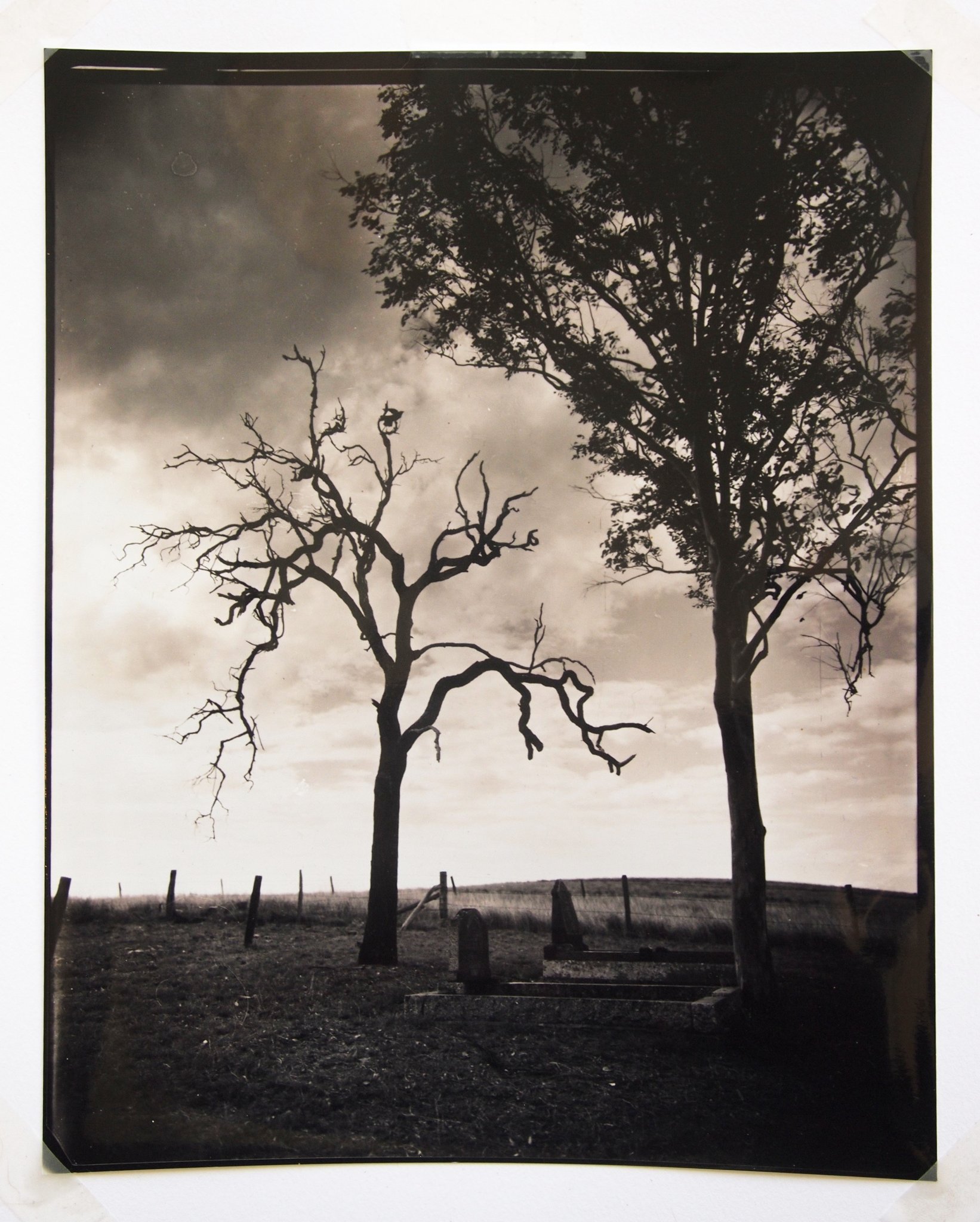 Family Plot