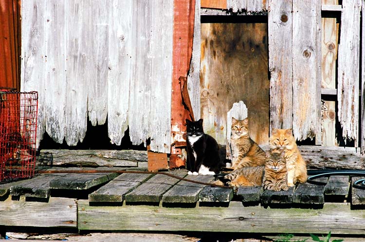 Family Portait