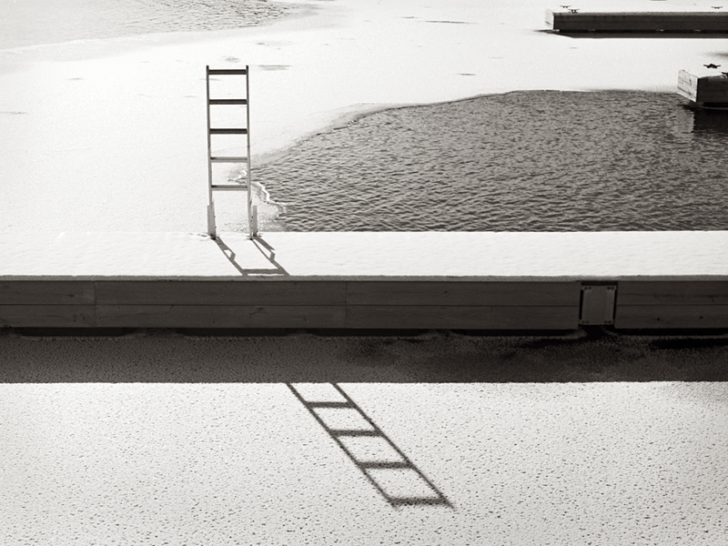 Fancy a Swim?