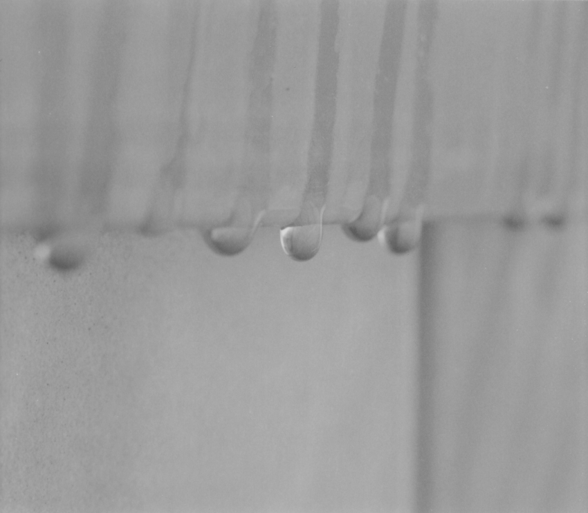 Far-Travelled Raindrops