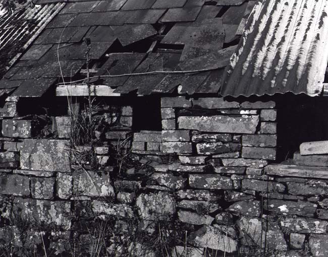 Farm Building Detail