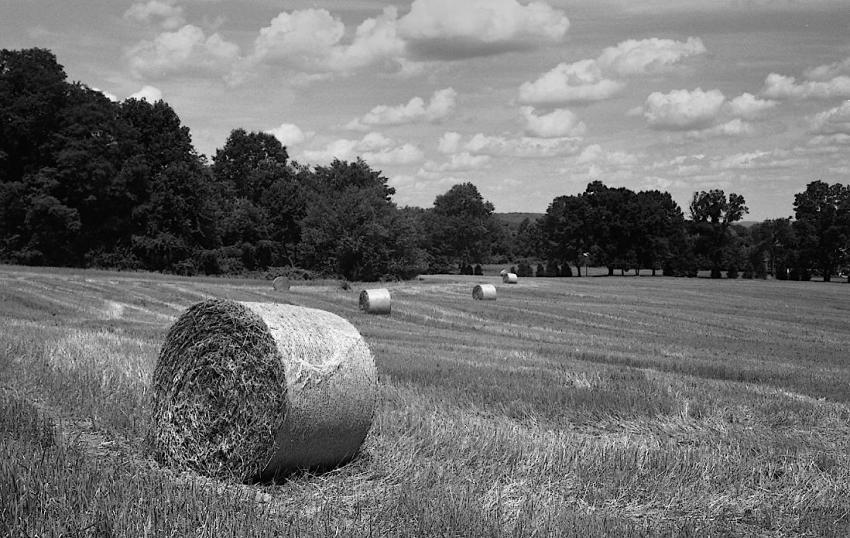 Farm On East Mountain Road