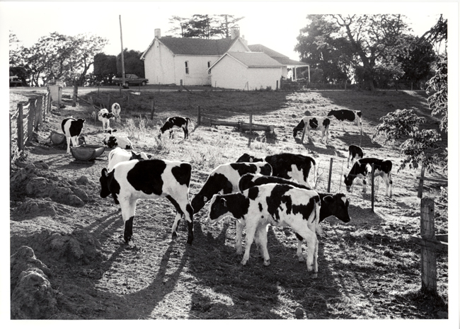 farm project