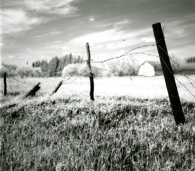 Farm Site