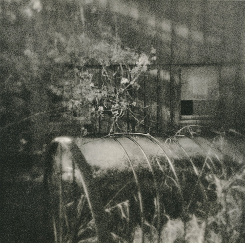 Farm Still Life