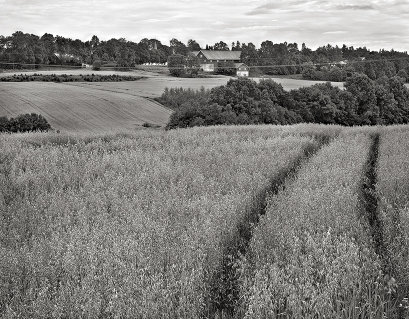 Farm
