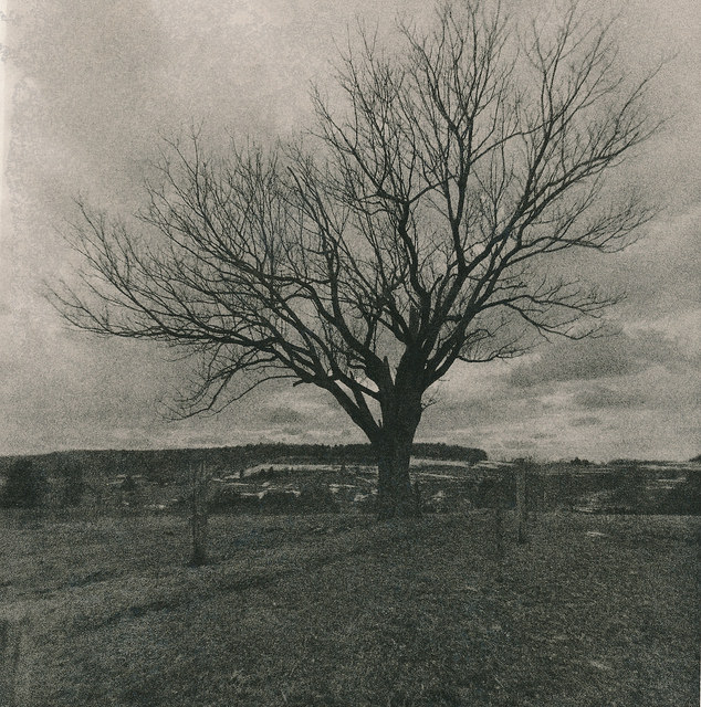 Farmer's Tree - Lith