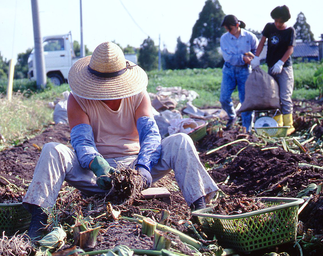 Farming close-up