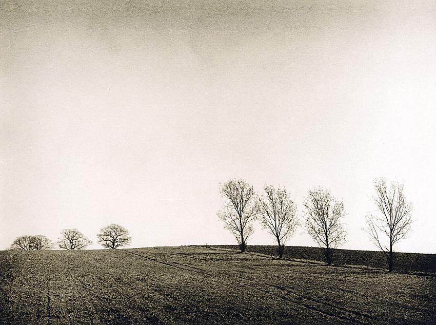 Farmland near Ingatestone