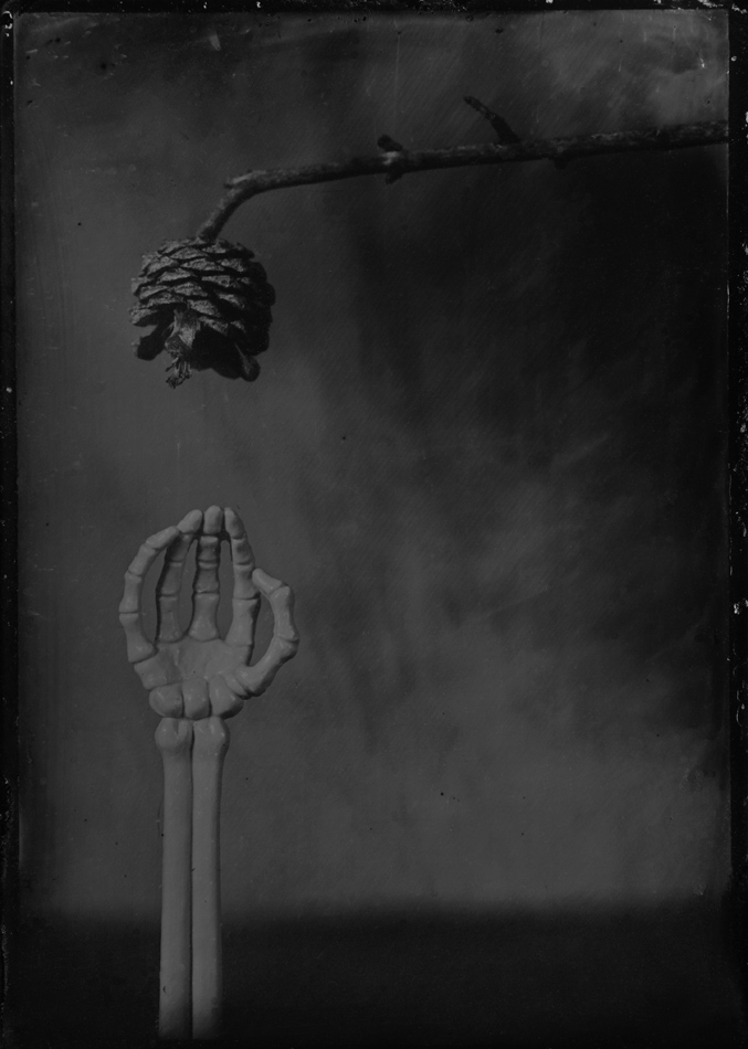 Fate Tickles the Pinecone of Relativity