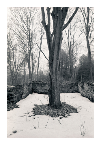 Fayette Michigan 2007