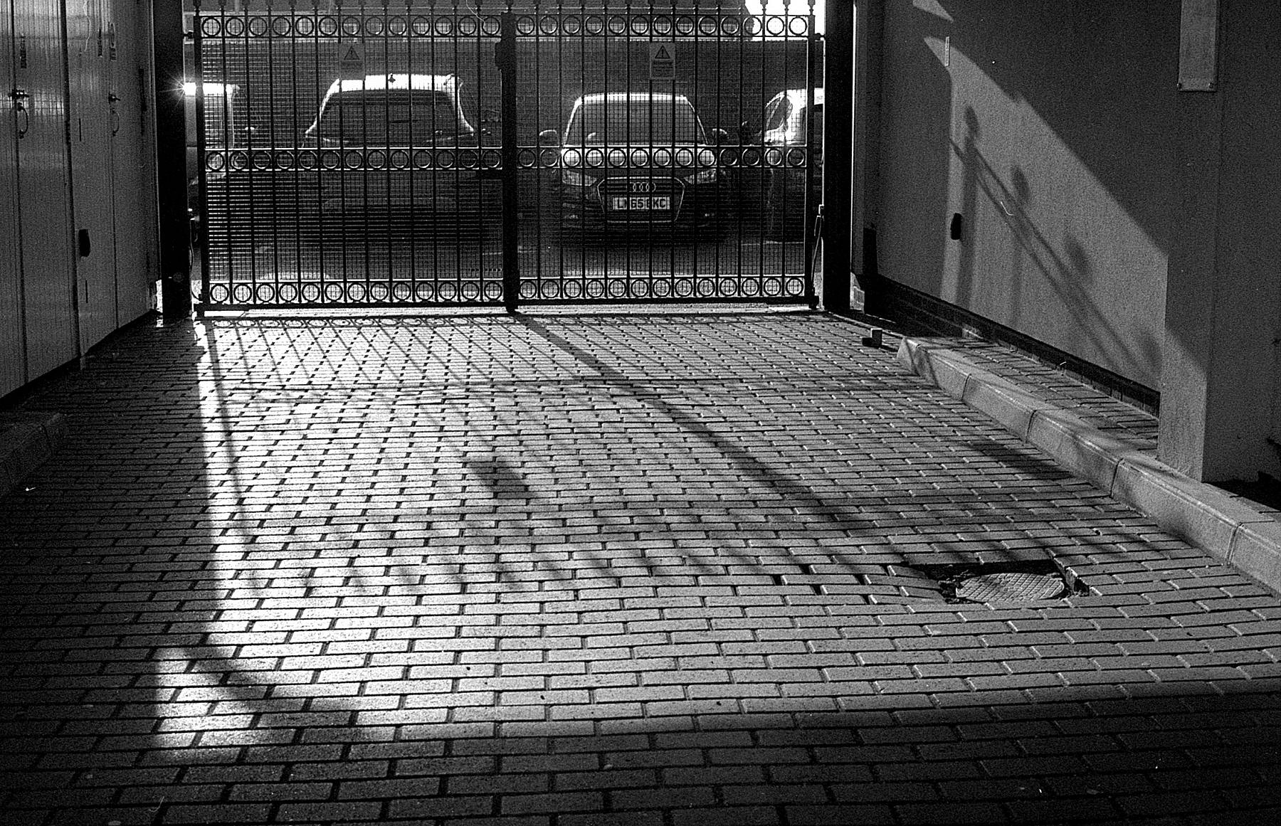 FE FP4+ Rodinal 01