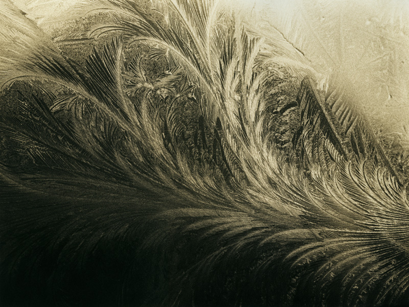 Feather Frost