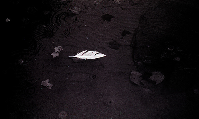 Feather