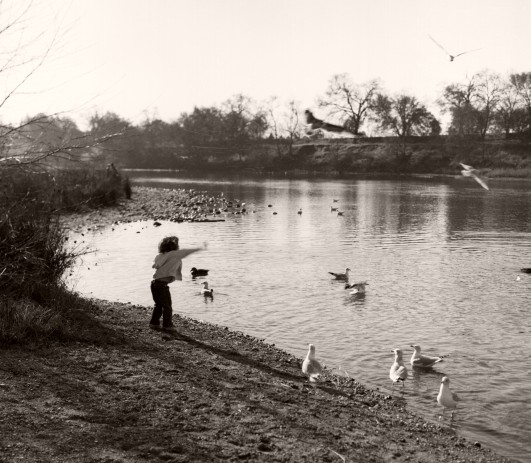 Feeding the Birds