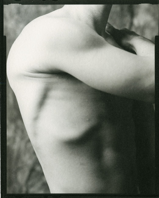 Felipe, Torso, Side View